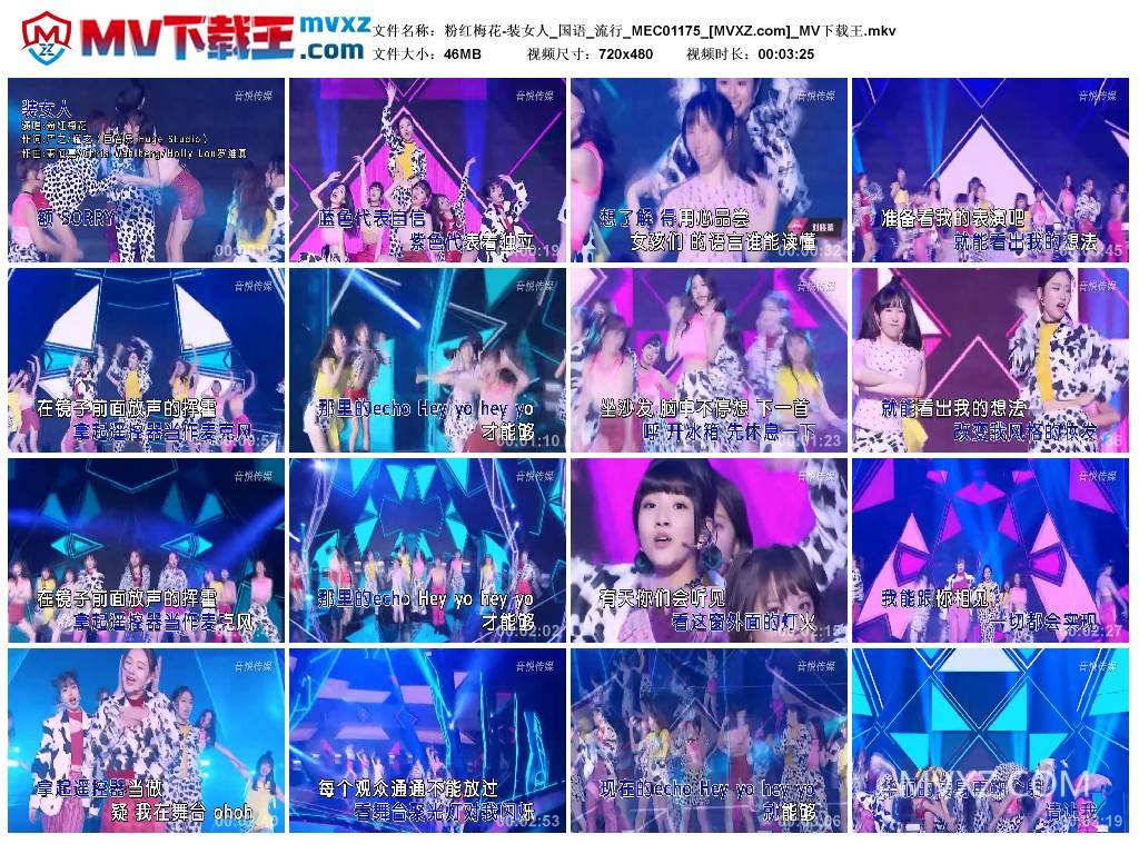 粉红梅花-装女人_国语_流行_MEC01175